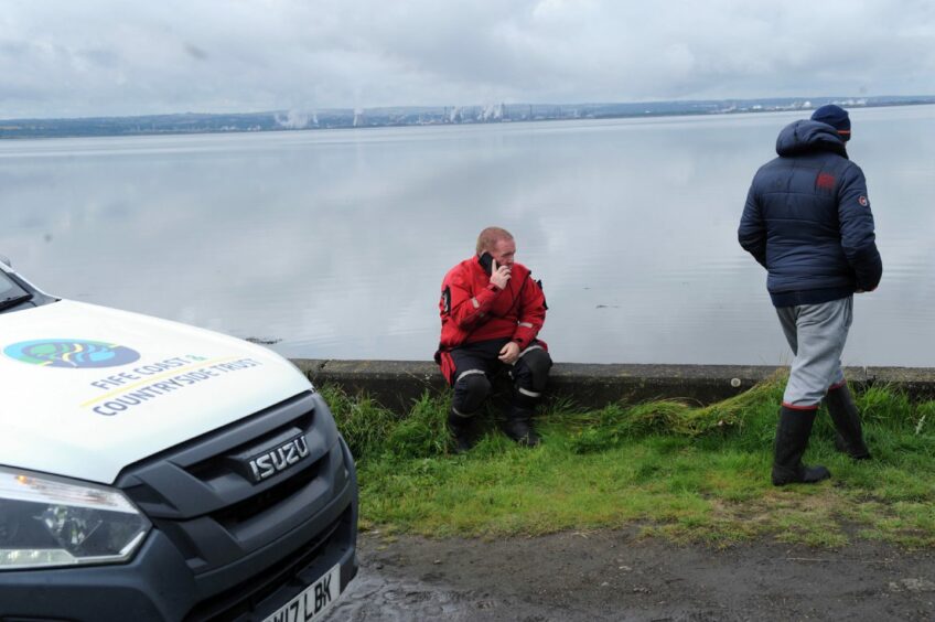 Rescuers worked overnight to try and save the whales