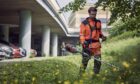 Groundcare professional using brushcutter on grass near a carpark.