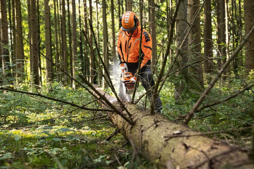 Man using chainsaw to cut up fallen tree.