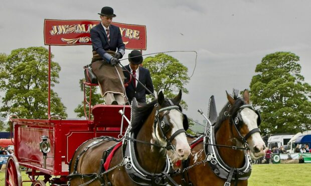 Driven heavy horses in action at the Fife Show in 2023.