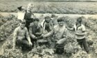 Photograph showing a group of young boys enjoying their day of berry picking in Longforgan in 1985. Image: DC Thomson.
