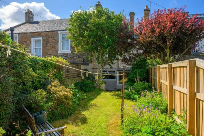 The enclosed rear garden at 3 The Terrace, Elie