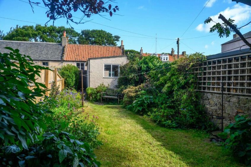 Rear garden at 3 The Terrace, Elie