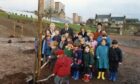 Youngsters from Rosebank Primary School planting a tree as part of the school's green project. Image: DC Thomson.