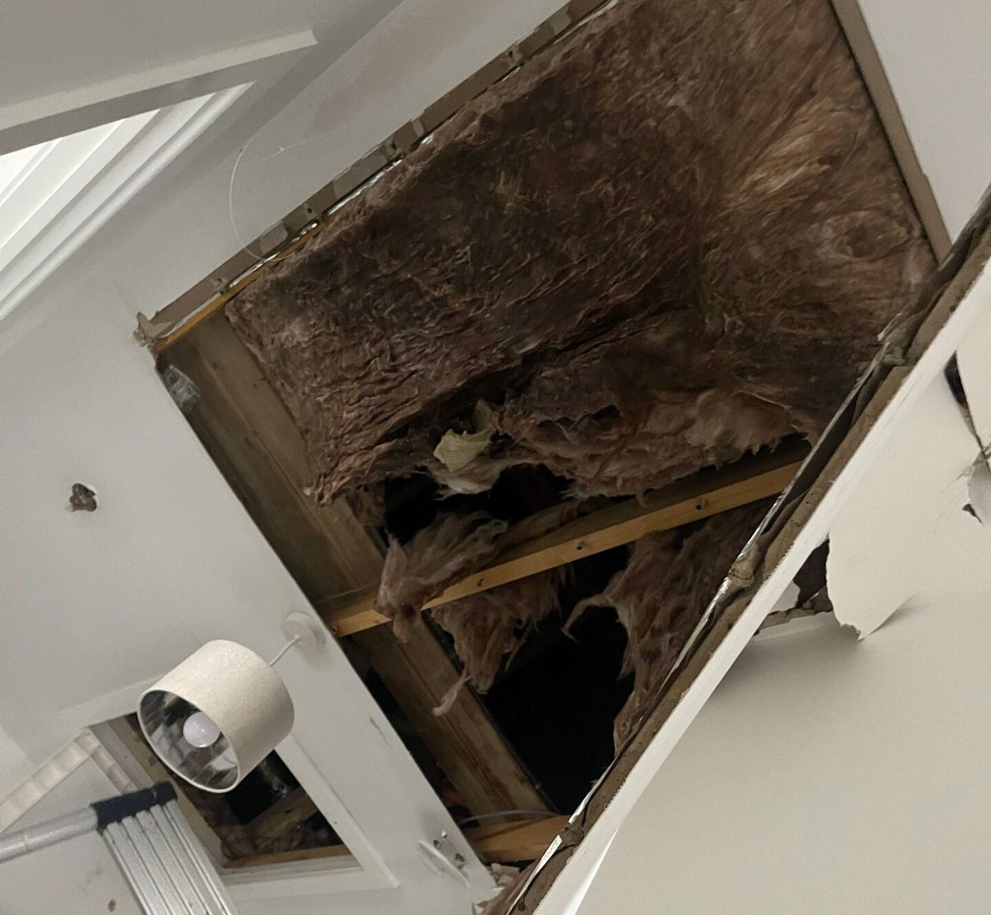 Water damage to an attic hatch in a Guardbridge house