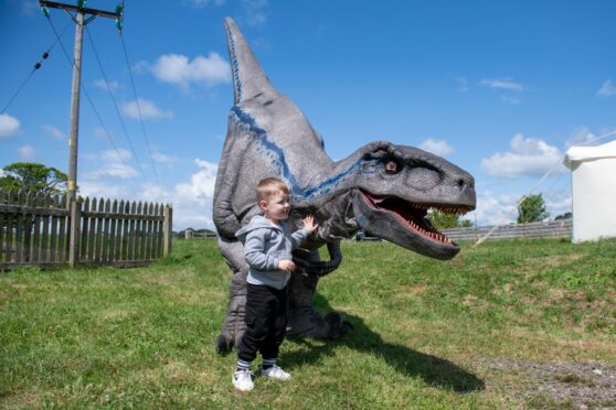 Cole McFarlane, 2, makes friends with a Velociraptor at Bridge of Dun station,. Image: Kim Cessford/DC Thomson