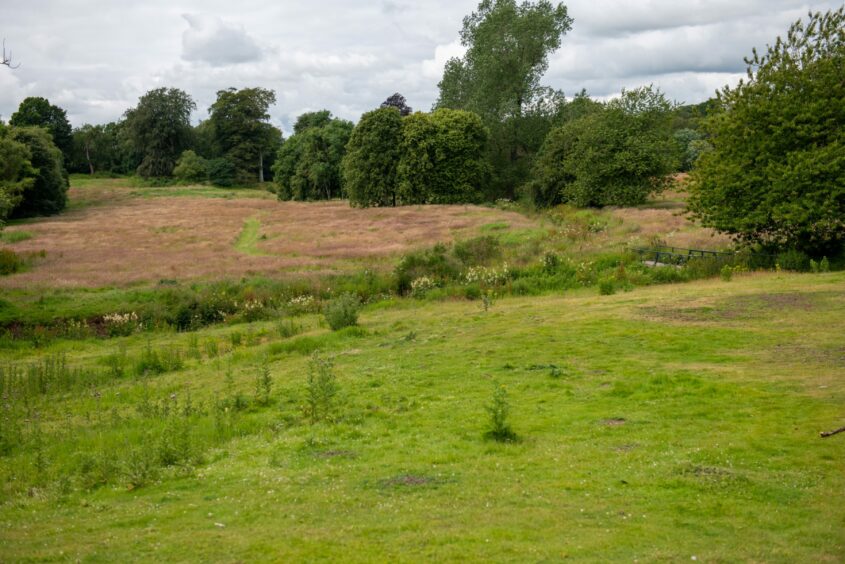 Formerly pristine fairways have returned to nature at the former Letham Grange resort near Arbroath.