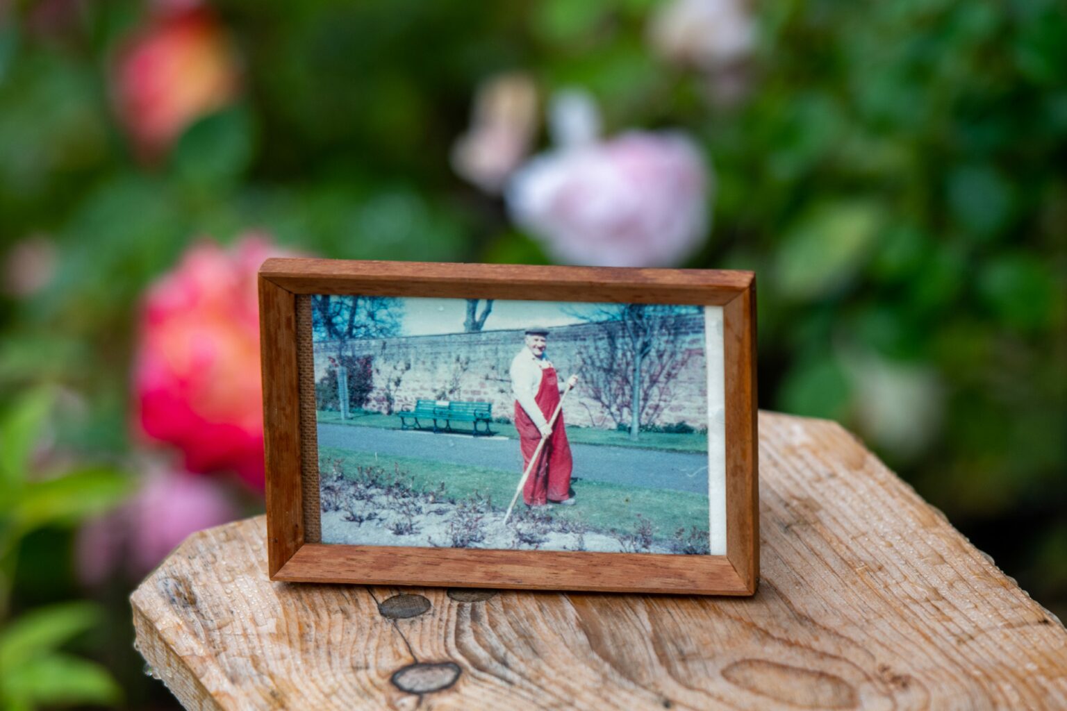 Mystery of secret Arbroath letter solved 5,000 miles away in Dubai ...