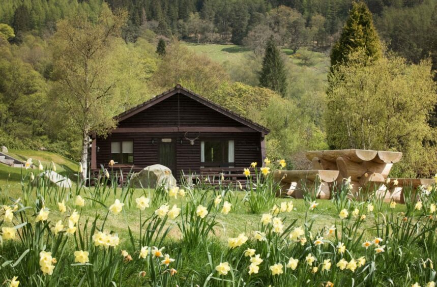 Leny Estate in a field of wildflowers.