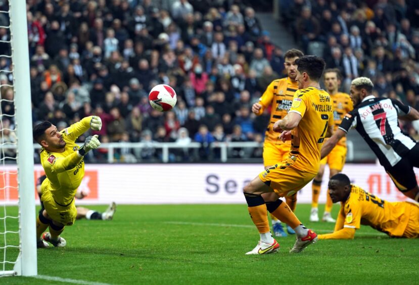 Dimitar Mitov makes a save from Newcastle United's Joelinton in the FA Cup.