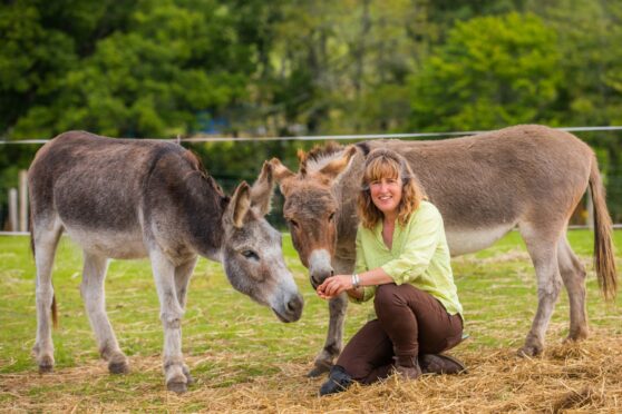 Karen Inkster with two donkeys.