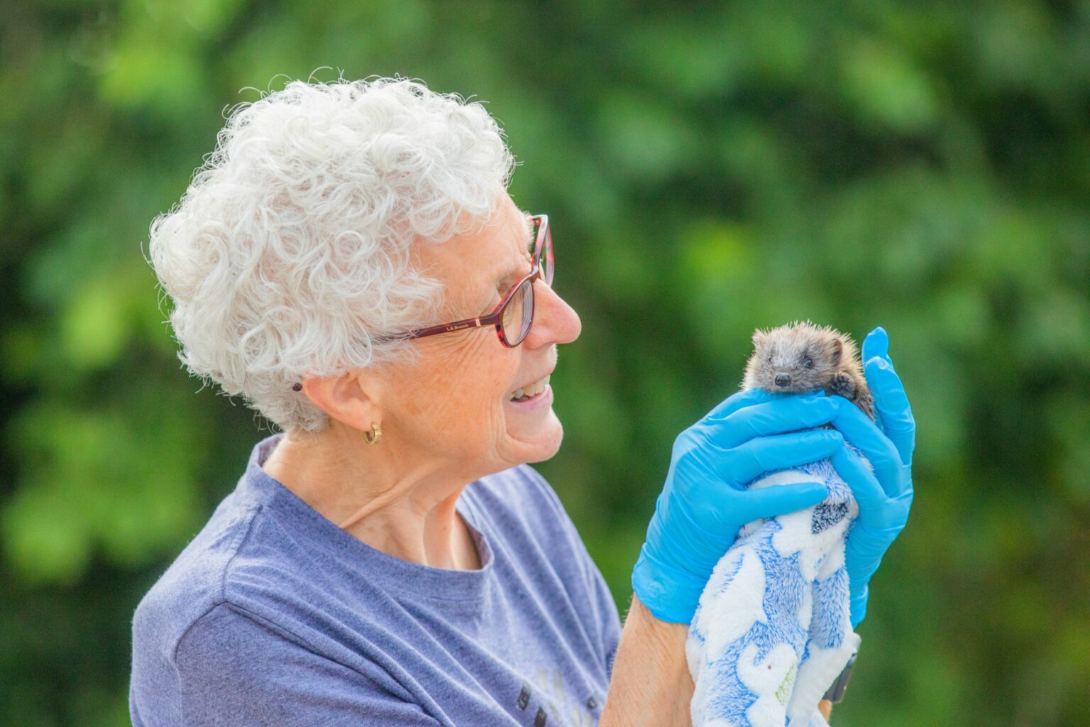 REBECCA BAIRD: What do you do with a dead hedgehog?