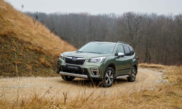 Subaru's Forester is a spacious and capable SUV. Image: Subaru.