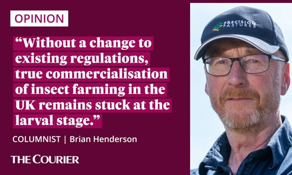 The writer Brian Henderson next to a quote: "Without a change to existing regulations, true commercialisation of insect farming in the UK remains stuck at the larval stage."