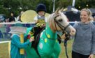 Pony dressed in green costume with small child in bee costume on its back.