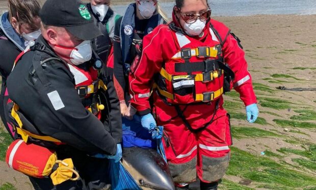 The rescue effort. Image: Broughty Ferry RNLI