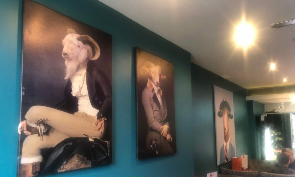 Paintings of historical figures with goats as the heads on the walls at The Tipsy Goat.