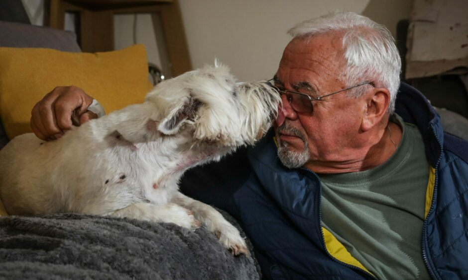 John Reid and Westie Charlie who were injured in the first attack by an XL Bully-type dog.