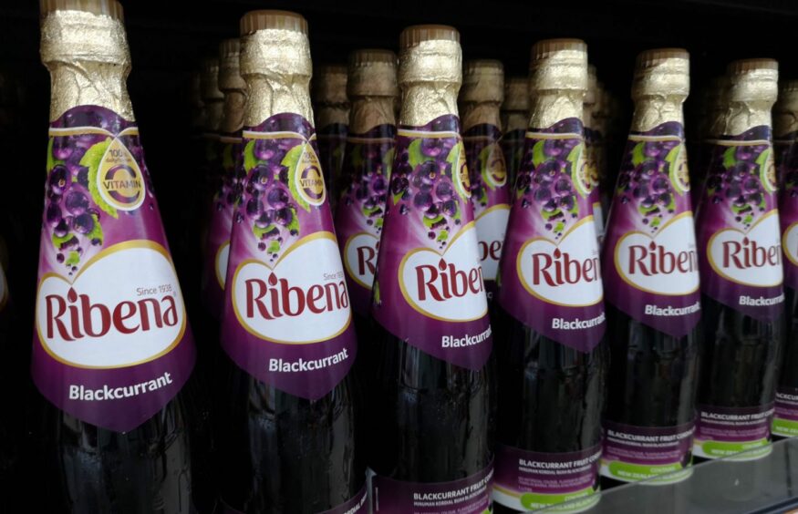 Bottles of Ribena lined up on a shelf.
