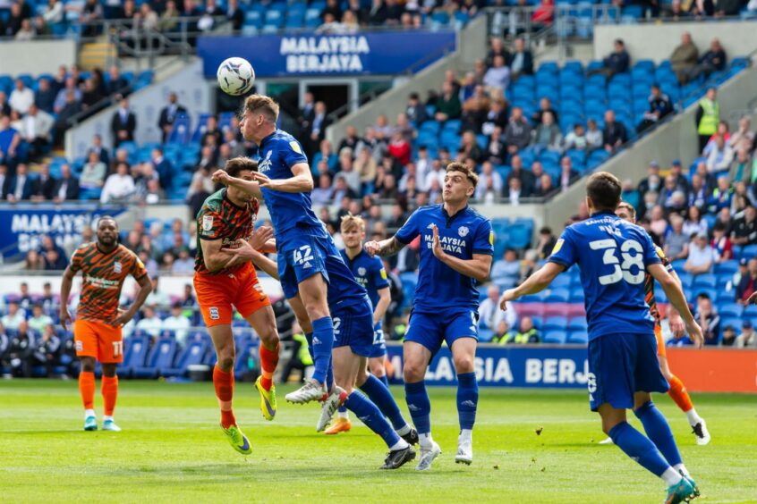 The towering Ollie Denham in action for Cardiff