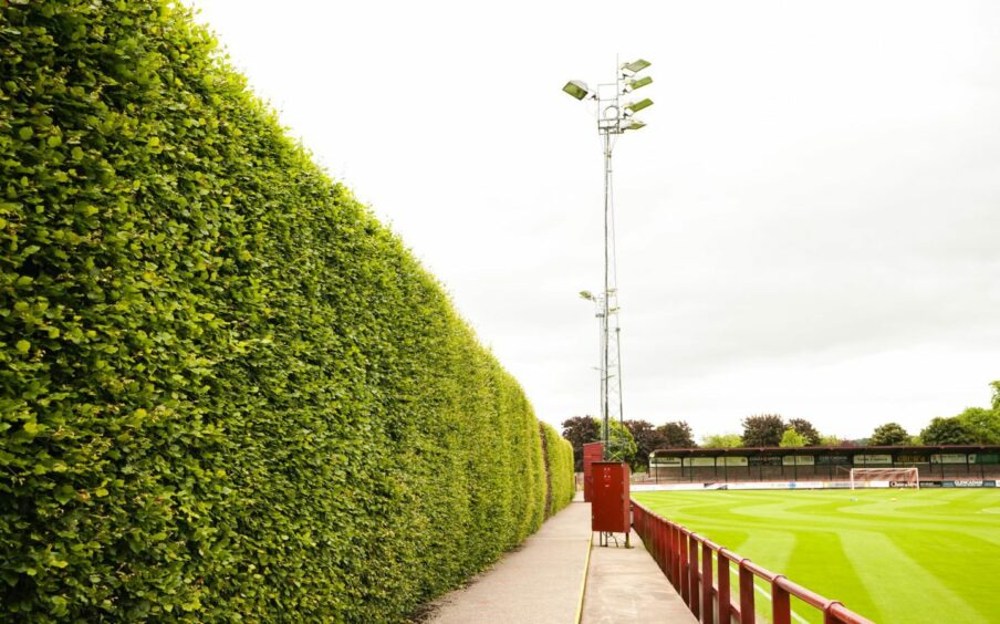 The iconic hedge at Brechin City's Glebe Park. Image: SNS