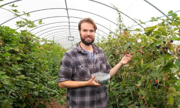 Alex Daniels posing in a polytunnel.