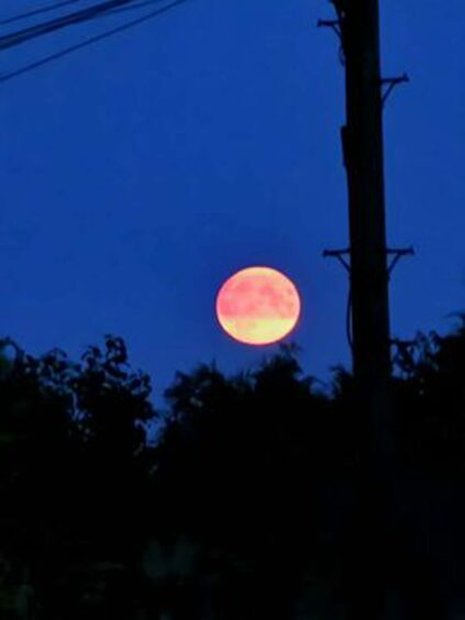 Super blue moon pictures in Tayside and Fife