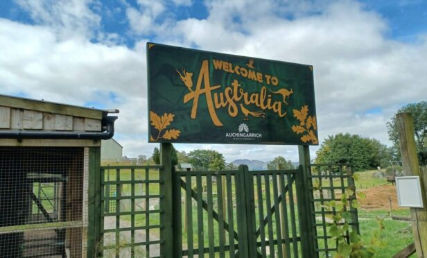 The Australia zone at Auchingarrich Wildlife Park, near Comrie.