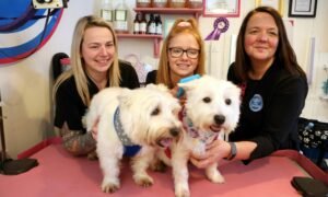 Sarah Norris, Olivia Ferguson and owner Vicky Gunn with westies Fergus and Isla. Image: Gareth Jennings/DC Thomson.