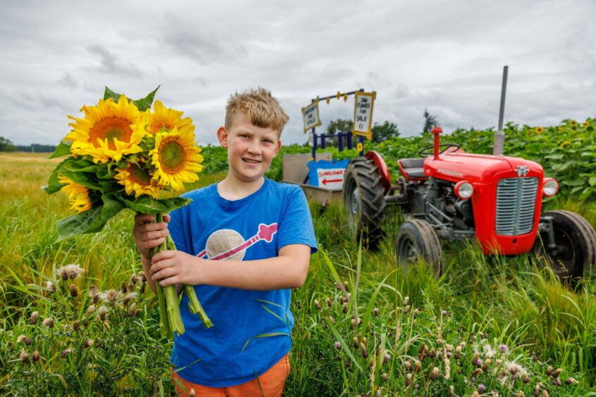 Angus Watt holding bunch of sunflowers in front of a small red Massey Ferguson tractor.