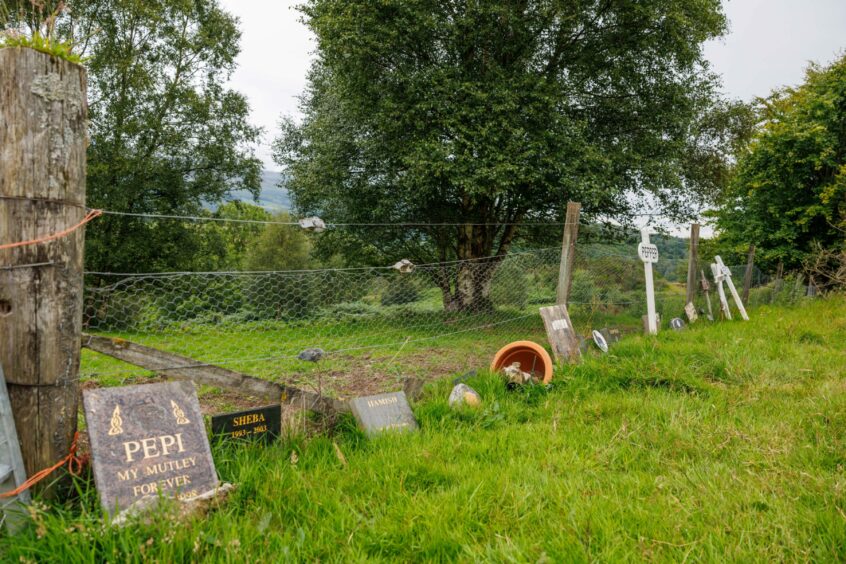 Grave markers laid up against the fence at the Auchingarrich Wildlife Park pet cemetery