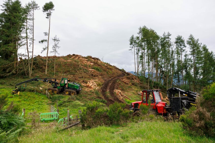 Diggers carrying out forestry work on the hill behind the former cemetery at the Auchingarrich Wildlife Park. 