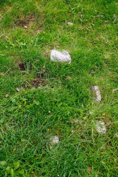 stones in the ground at the Auchingarrich wildlife park pet cemetery.