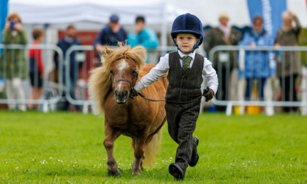 Rory Andrews (5) from Durrelton Coupar Angus with Keva the pony. Image: Kenny Smith/DC Thomson