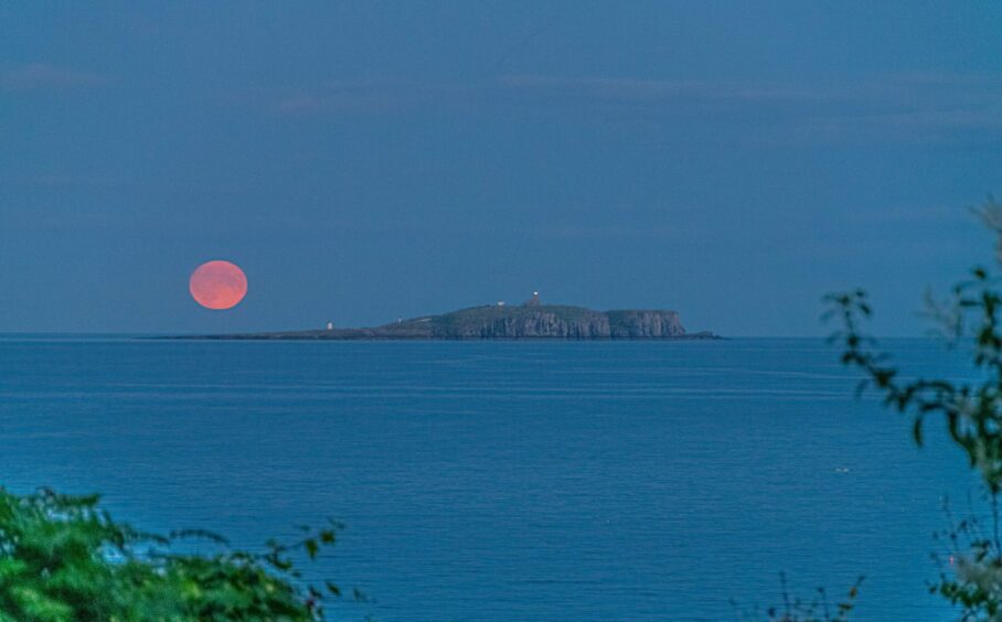 Another snap of the Super Blue Moon over Tayside and Fife