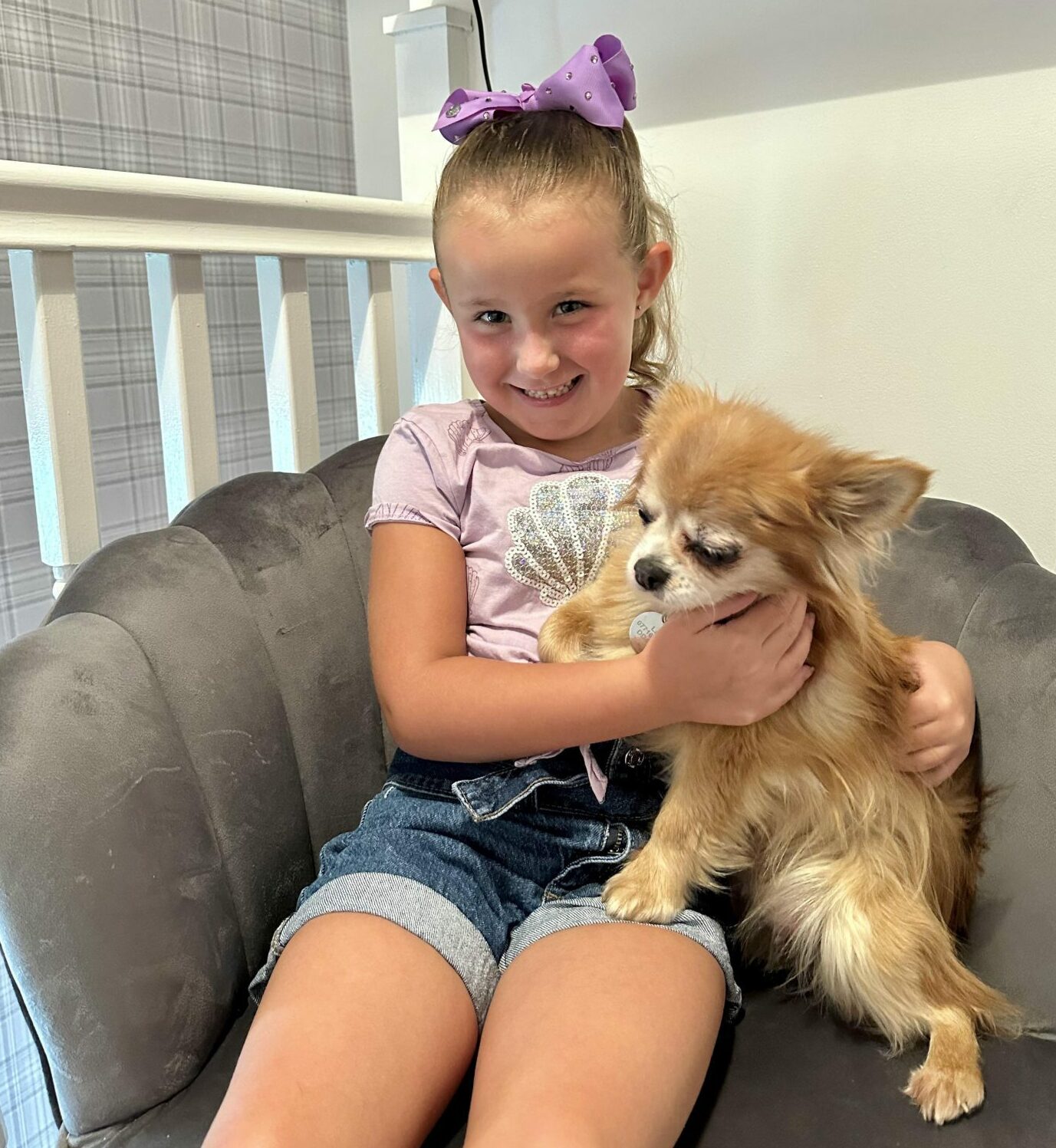To go with story by Stephen Eighteen. Dundee man Jonathan Lucas is celebrating the return of his dog seven days after she went missing. Picture shows; Melanie with Chihuahua Lady.. Dundee. Supplied by Jonathan Lucas Date; 13/08/2023
