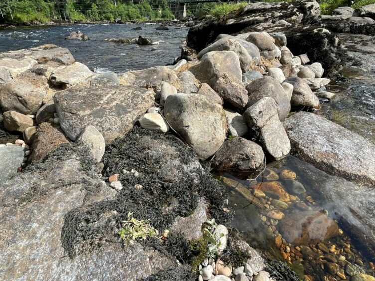 A close-up of one of the unauthorised obstacles on the River Tay at Grandtully, showing concrete between rocks and stones.