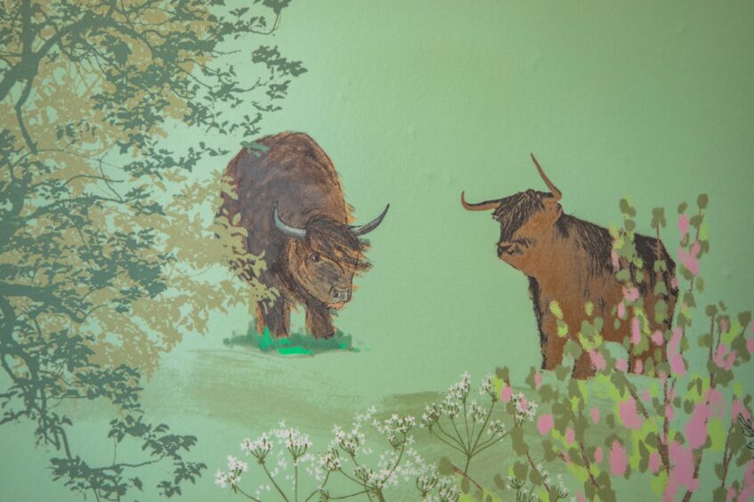 Highland cows on Crieff Hospital mural.