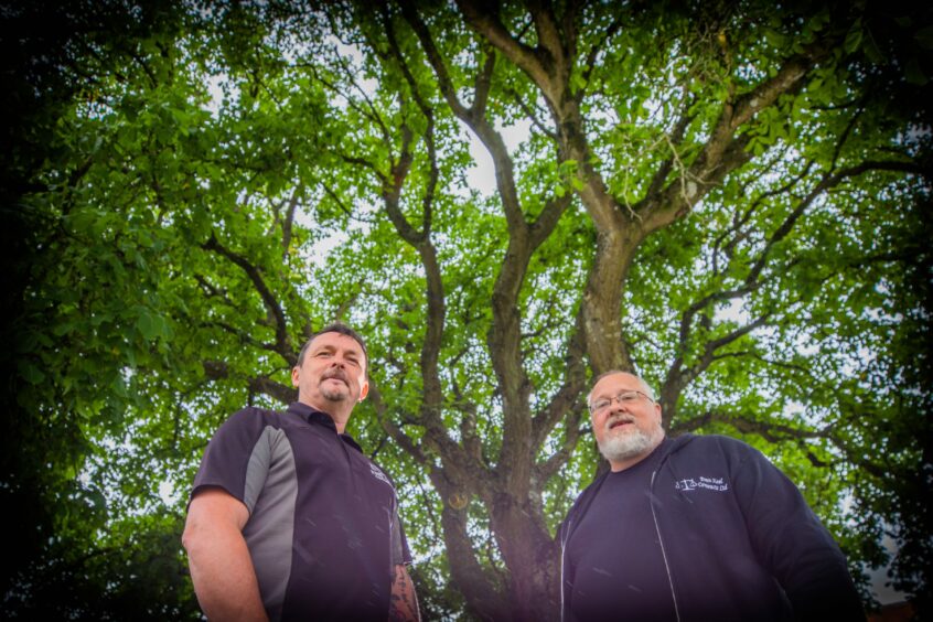 Tom Goodwillie and Jamie Smith, of Even Keel Contracts, standing under branches of walnut tree at Inveralmond retail park, Perth.