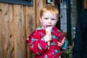 Stanley Grewer, 3, eating an ice cream at the Barrie Box summer fair.