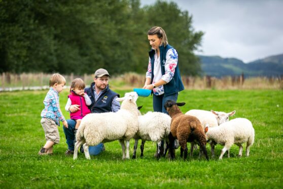 Tessa Sands with husband Michael and kids Fergus (4) and Elizabeth (2) and a field of sheep at Oakfield Farm near Errol