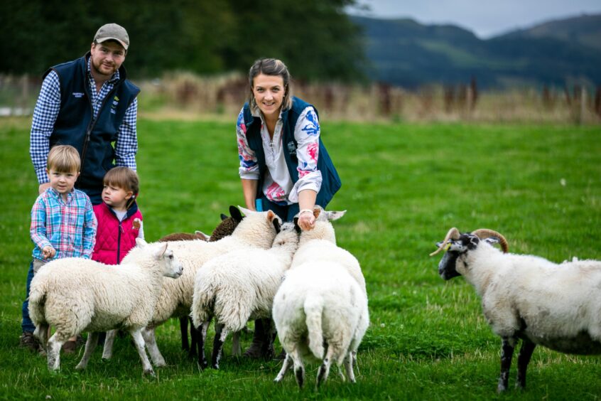 Michael and Tessa Sands in a field with children Fergus, 4, and Elizabeth, 2, and some of the Oakfield Farm flock of sheep.
