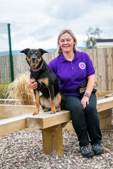 Jo High seated on a wooden bench with Macey, a black and tan kelpie dog.