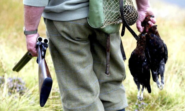 Where do you stand on the driven grouse shooting debate? Image: James Fraser/Shutterstock.