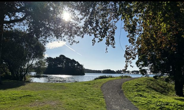 Monikie Country Park is one element of the woodland management consultation. Image: Angus Council