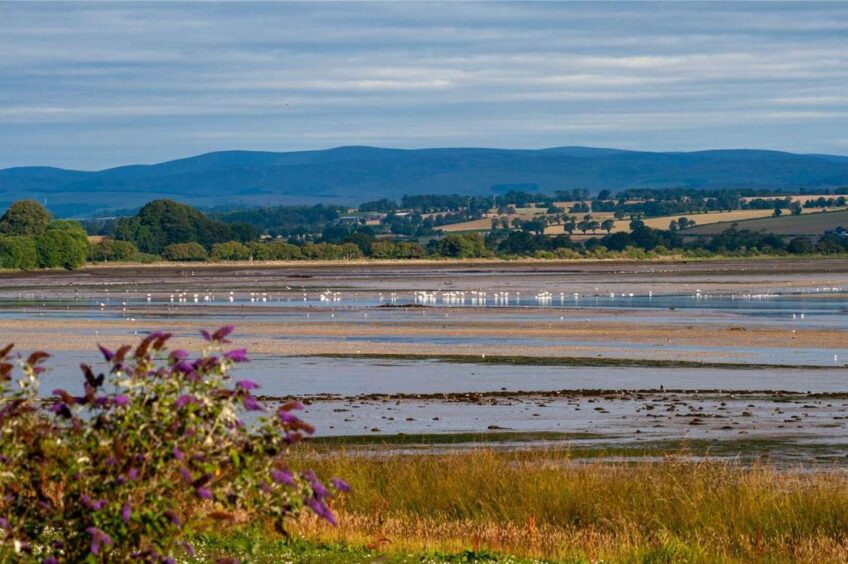 View across Montrose Basin where you can watch spectacular sunsets 