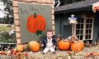 Charleton Fruit Farm is a great spot for some Halloween-themed photography. Image: Charleton Fruit Farm.