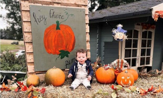 Charleton Fruit Farm is a great spot for some Halloween-themed photography. Image: Charleton Fruit Farm.