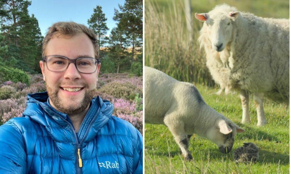 Perthshire film-maker Fergus Gill filmed an encounter between an owl chick and a lamb for new BBC series Scotland the New Wild.