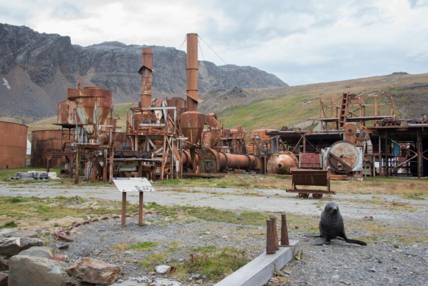Rusting remains of whaling station at Grytviken, South Georgia. Image: Stephen Bolcso